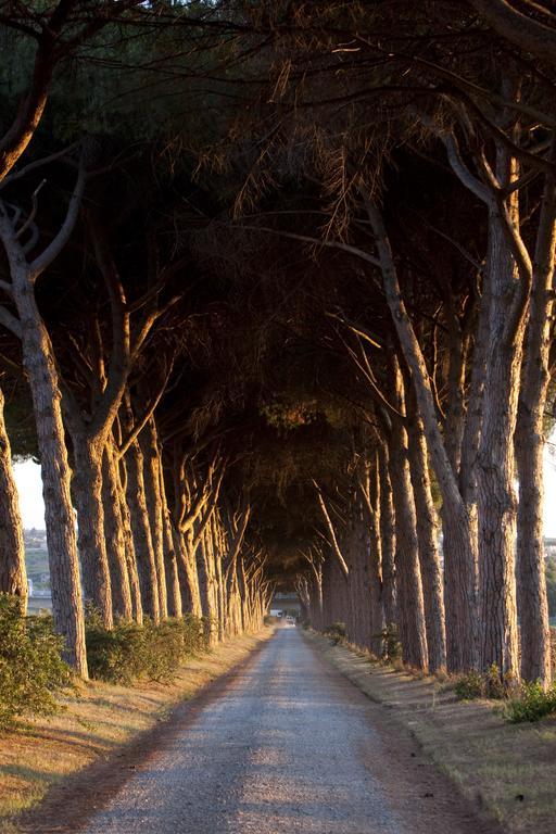 Agriturismo Pantano Borghese Monte Compatri Eksteriør bilde