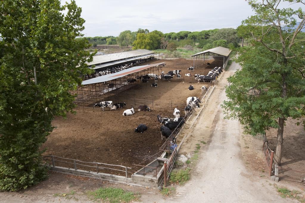 Agriturismo Pantano Borghese Monte Compatri Eksteriør bilde