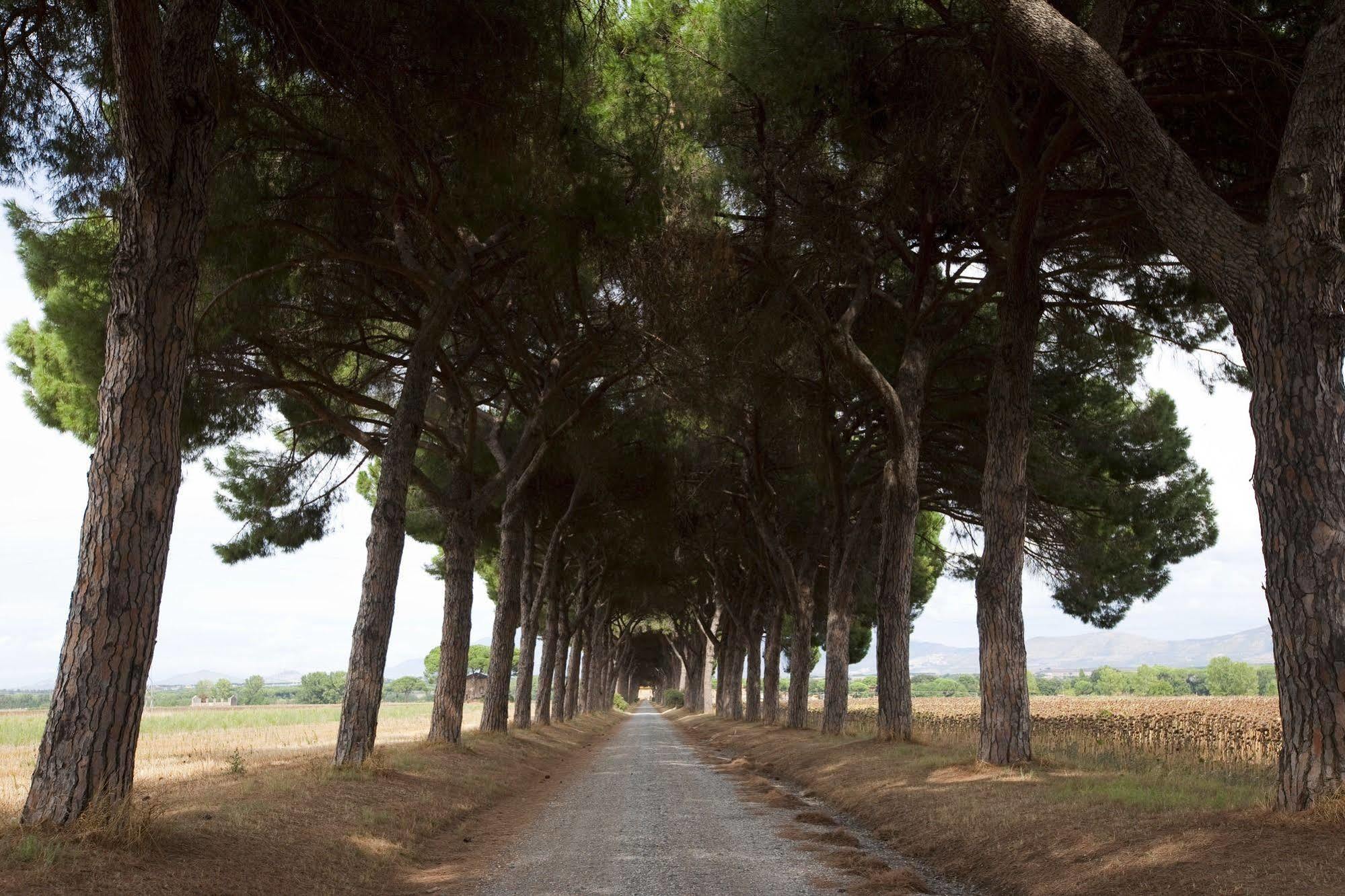 Agriturismo Pantano Borghese Monte Compatri Eksteriør bilde